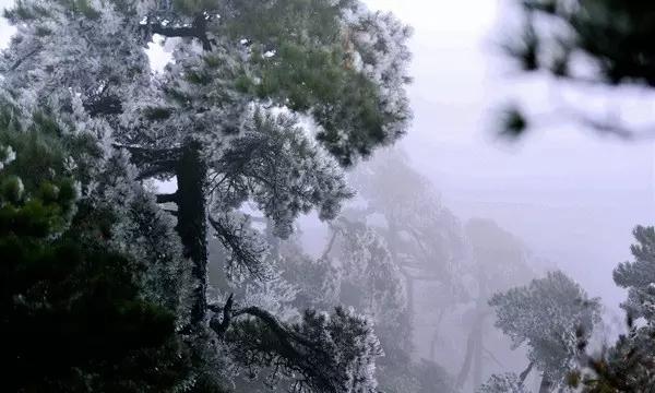 乐高蝙蝠侠3